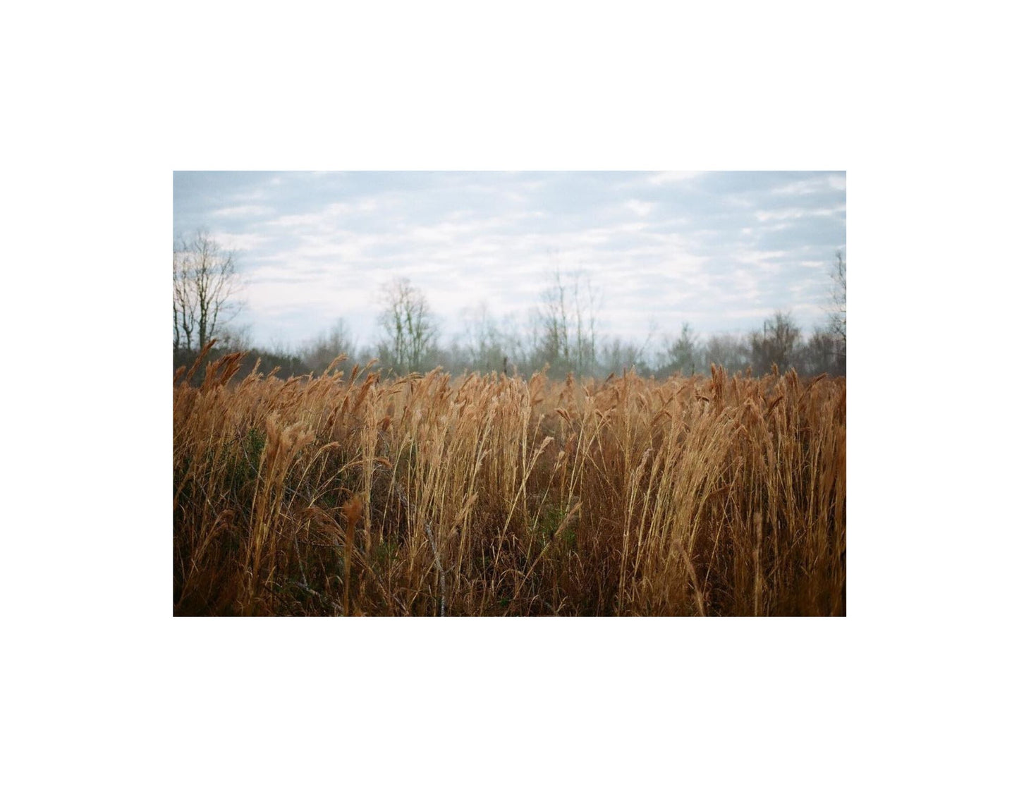 Places Vol. 1