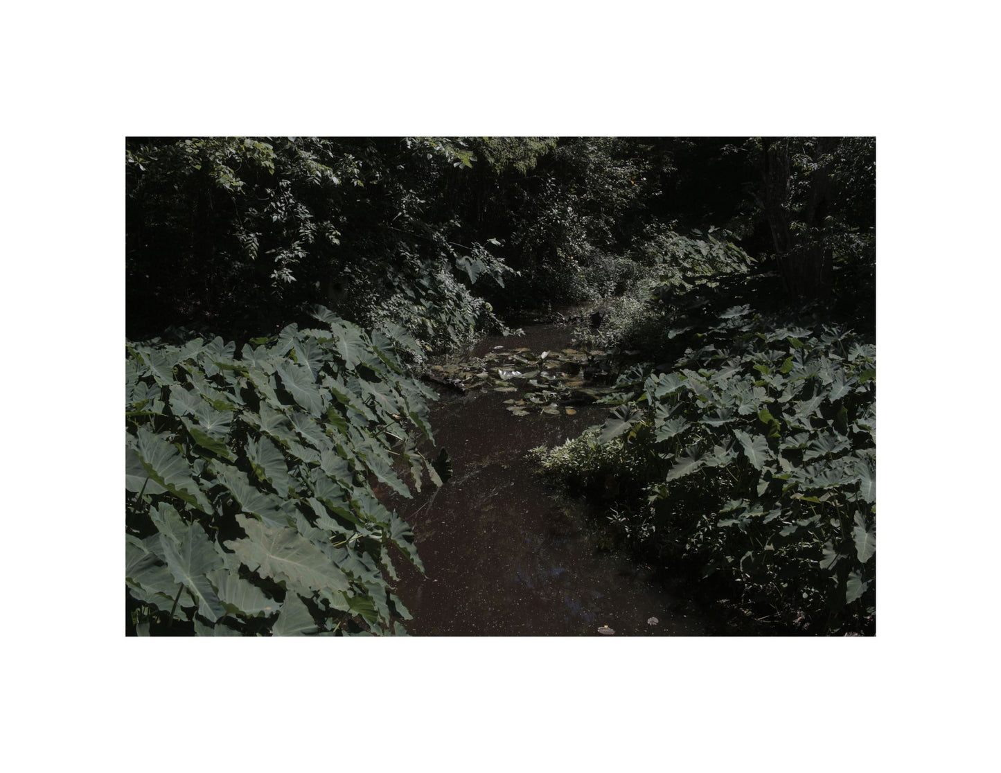 Places Vol. 1