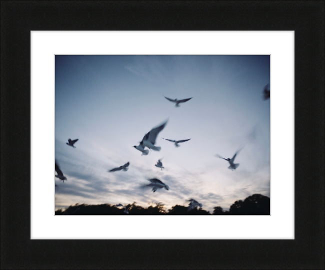 In Flight