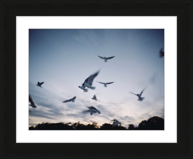 In Flight